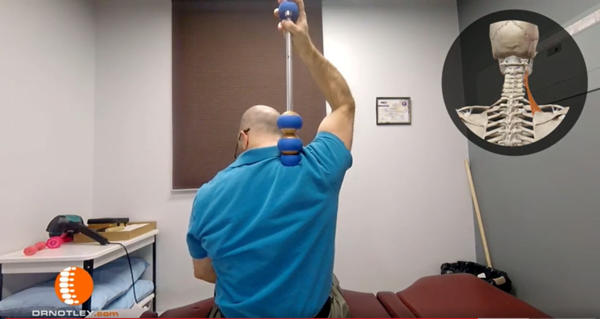 Self Myofascial Release Of Levator Scapulae Dr Christopher Notley Dc Catc 2673