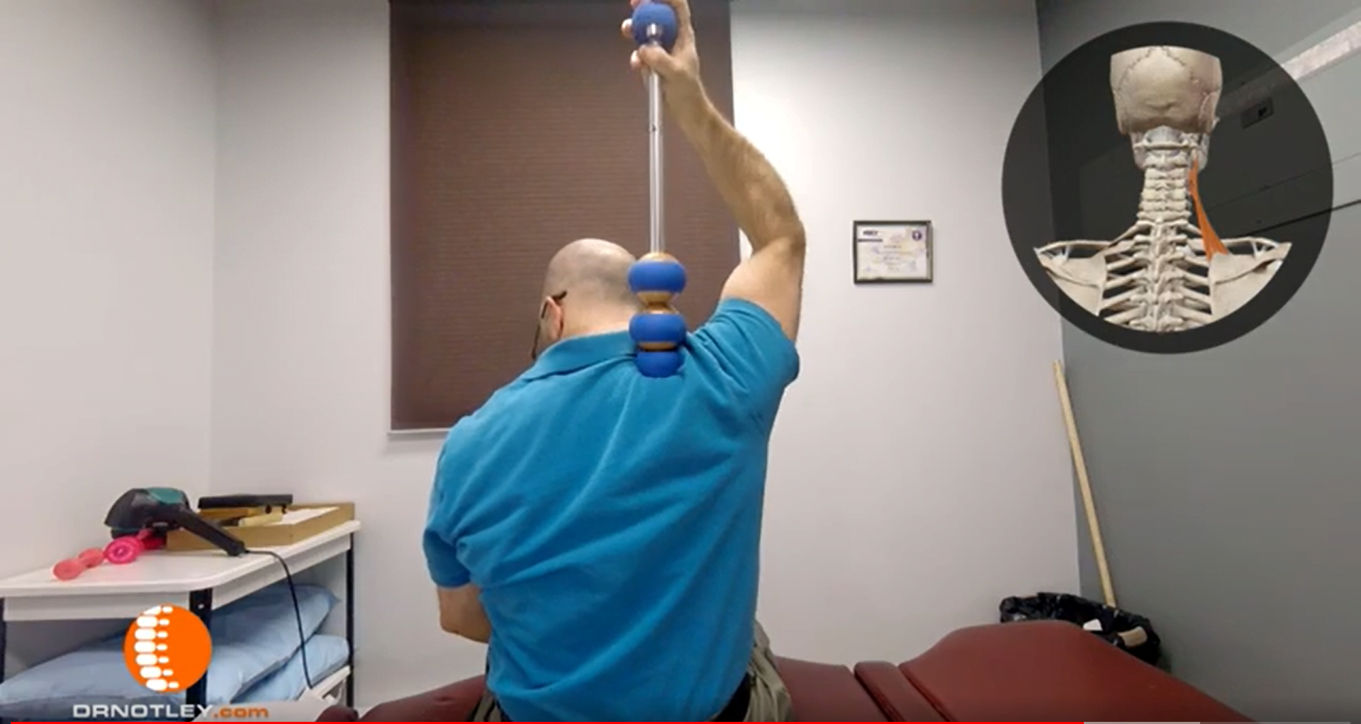 Self Myofascial Release Of Levator Scapulae Dr Christopher Notley Dc